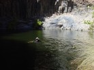 photo thumbnail #10