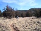 photo thumbnail #4
