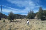 photo thumbnail #7