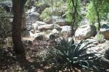 photo thumbnail #2