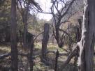 photo thumbnail #9