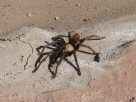 photo thumbnail #8