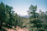 photo thumbnail #13