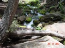 photo thumbnail #10