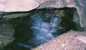 photo thumbnail #7