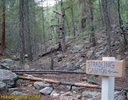 photo thumbnail #13