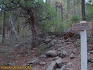 photo thumbnail #14