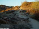 photo thumbnail #4