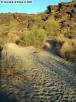photo thumbnail #12