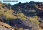 photo thumbnail #13