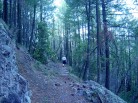 photo thumbnail #2