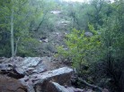 photo thumbnail #1