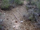 photo thumbnail #6