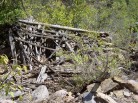 photo thumbnail #8