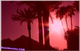 2002-06-10 :2: Scottsdale Greenbelt :: joebartels