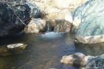 photo thumbnail #10