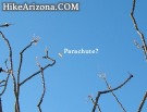 photo thumbnail #11