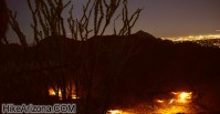 photo thumbnail #7