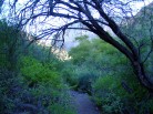 photo thumbnail #9