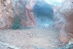 photo thumbnail #7