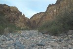 photo thumbnail #12