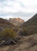 photo thumbnail #13
