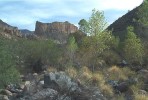 photo thumbnail #14