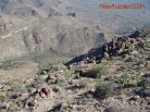 photo thumbnail #14