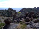 photo thumbnail #4