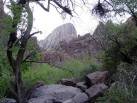photo thumbnail #1