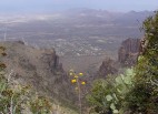 photo thumbnail #7