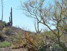photo thumbnail #7