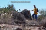 photo thumbnail #11