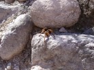 photo thumbnail #15