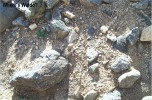 photo thumbnail #2