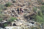 photo thumbnail #8
