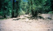 photo thumbnail #2