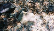 photo thumbnail #5