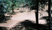 photo thumbnail #15