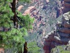 photo thumbnail #13