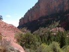 photo thumbnail #10