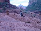photo thumbnail #7