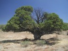 photo thumbnail #13