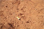 photo thumbnail #2