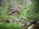 photo thumbnail #7