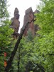 photo thumbnail #9