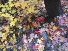 photo thumbnail #10