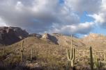photo thumbnail #2