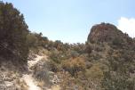 photo thumbnail #6