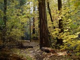 photo thumbnail #11